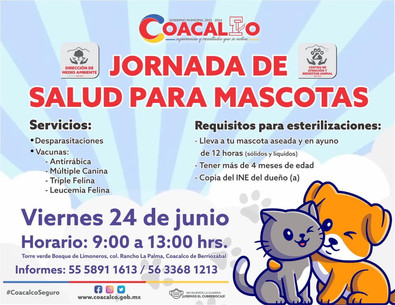medio ambiente