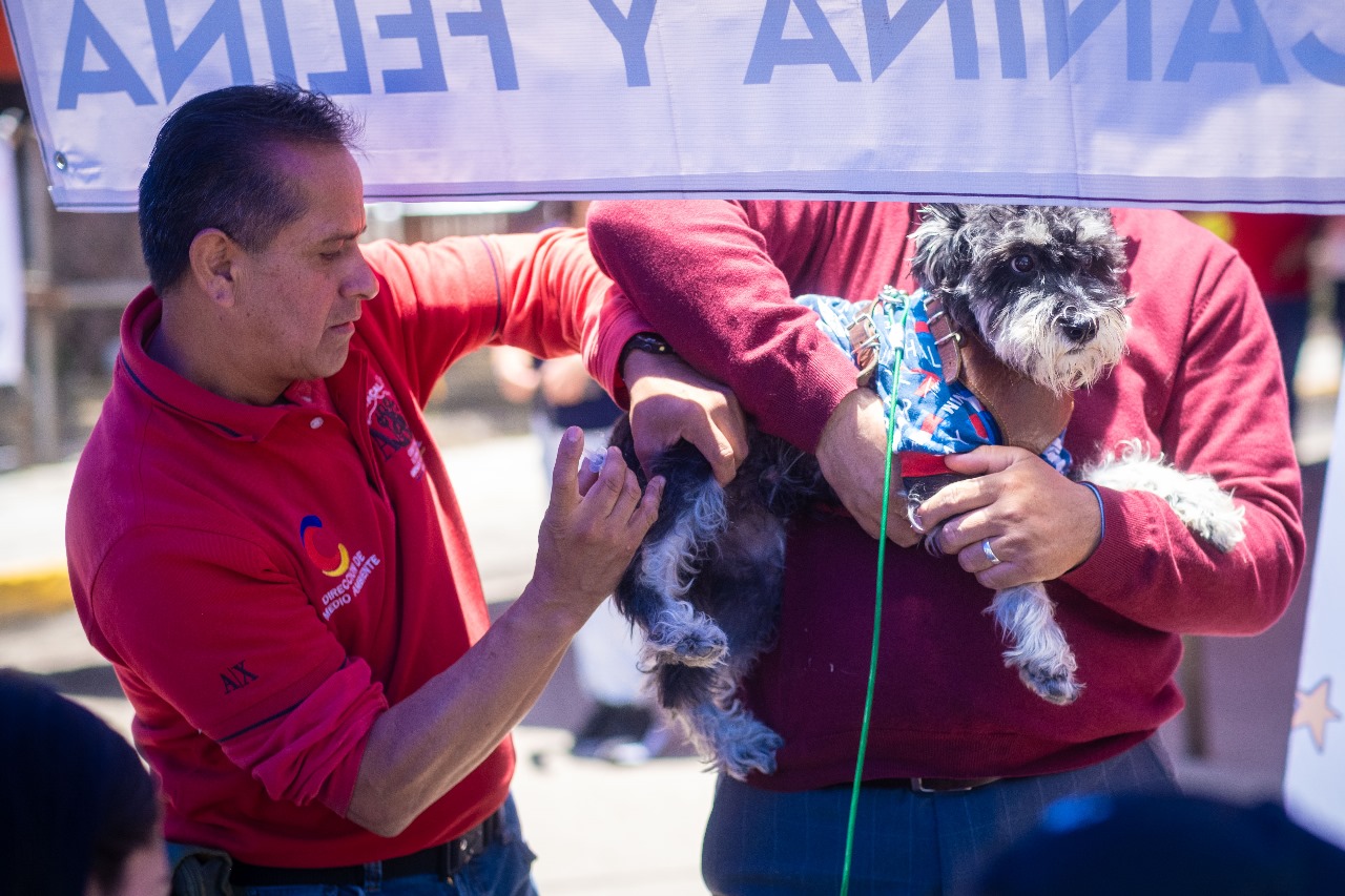COACALCO CELEBRA EL DÍA DEL PERRO Y DEL GATO CON SERVICIOS GRATUITOS PARA MASCOTAS